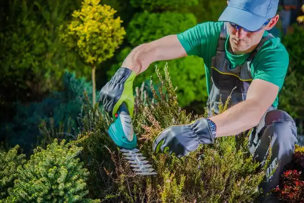 landscaping services Ponchatoula